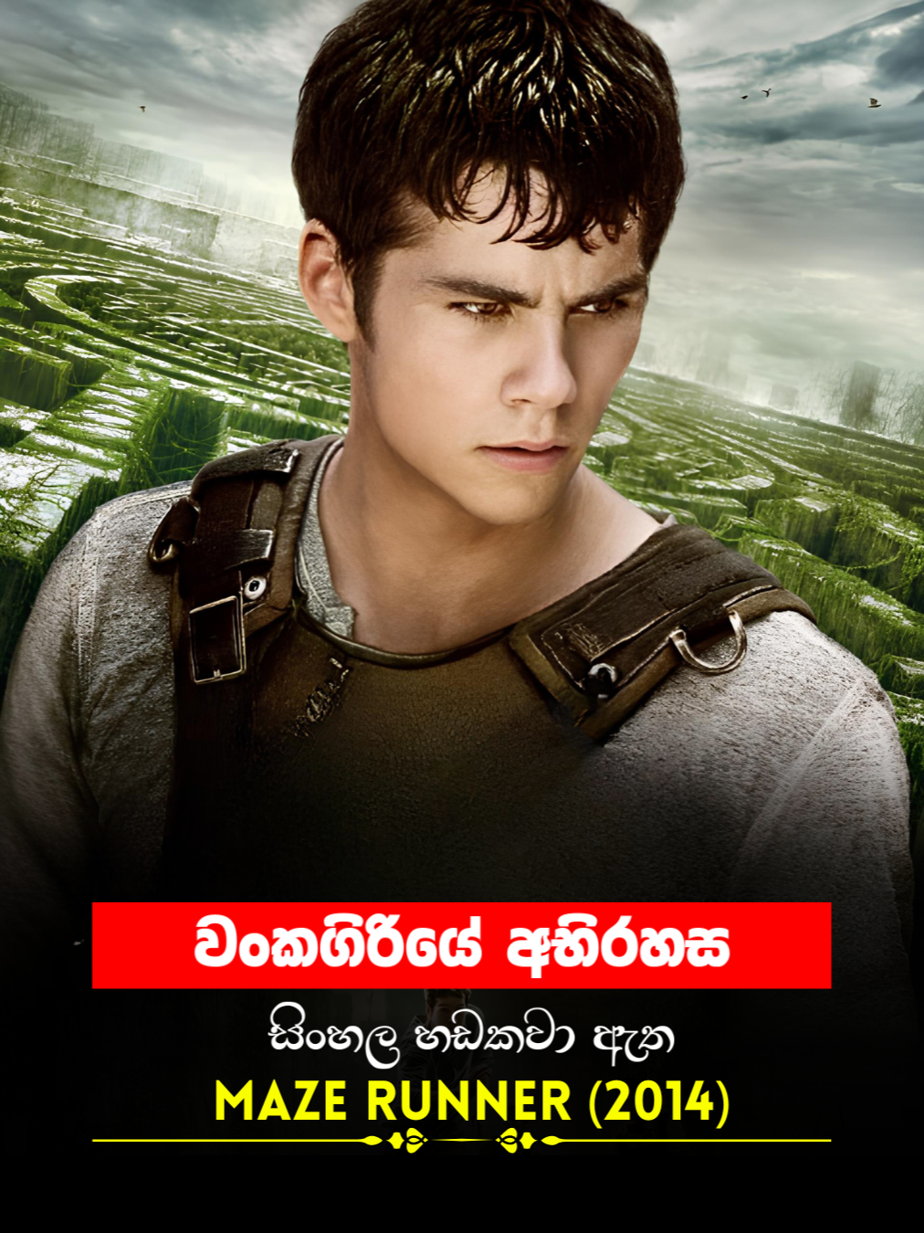 Sinhala Movie | වංකගිරියේ අභිරහස | Maze Runner 2014 | Movie Clip 32 | සිංහල හඩකවා ඇත #Sinhala #sinhaladubbed #moviescene #cinema