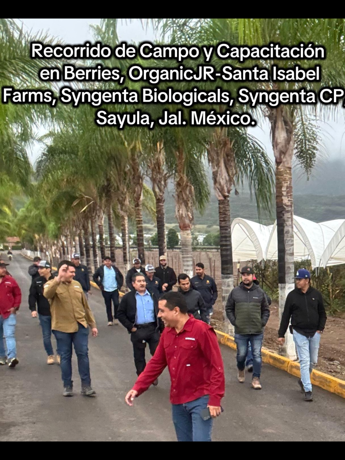 Ante las condiciones actuales del clima y con la intensión se seguir fortaleciendo más las acciones preventivas dentro del  manejo integrado de la enfermedades de las Berries, agradecemos  mucho a nuestros amigos de #SyngentaBiologicals, Syngenta CP  #OrganicJR - #SantaIsabel y demás invitados, el invitarnos y acompañarlos al  recorrido de campo y Capacitación en el #UsoyManejoDeInductoresDeResistenciay #BiocontrolDeEnfermedadesdelasBerries, Sayula,Jalisco, México. Jun 2025. #JDG.
