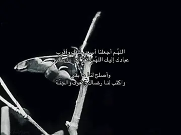 اللّهـم يااربّ . #explore #قران #دعاء #اجر_لي_ولكم #foryou #ياربّ 