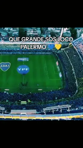 PALERMO PALERMO  #boca #palermo #amotherslove #eltitan #martinpalermo #despedidadepalermo #xeneize #fip #biral #viral #parati#paratiiiiiiiiiiiiiiiiiiiiiiiiiiiiiii #cabj #boca #idolodeboca 