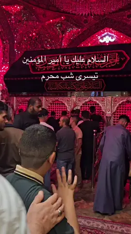 #imamali #najaf #muharram #mubaram2025 #2025 #ziyarat #karbala #ashura #viralvideos 