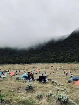 surken after badai #pendaki #pendakifomo #fy #gununggedepangrango 