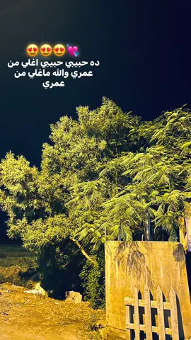 #عمرو_دياب #amr_diab #حب #viral_video #fyyyyyyyyyyyyyyyy #CapCut #tiktok #trending #foryoupage #onthisday 
