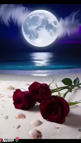 #Buenas noches a todos #feliz noche #Bendiciones🙏 #braseshermosas #fyp #Viral #💫🌏🌈🏞🌠 #