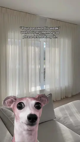 My password is weak🤭  #fyp #foryoupagе #relatable #funnytiktok #funnymemes #funnydog #humor #humour #funtok #password #humortiktok 