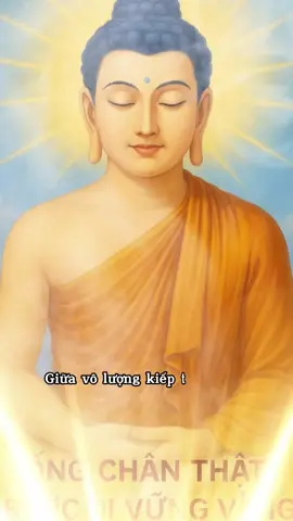 Con Xin Hồi Hướng Công Đưc Theo Lời Phật Dạy #🙏🙏🙏 #nammobonsuthichcamauniphat #loiphatday #tinhthuc #tinhtam #giacngo85 #trending #phatphap #adidaphat🙏🙏🙏 
