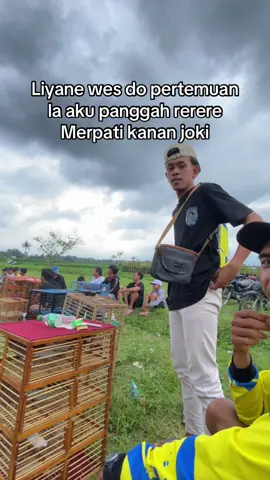 🤭#TikTokAwardsID #perintisbukanpewaris #masukberanda #ppmbsi #merpatibalapindonesia #merpatisprint #masukberandamuu #fyp #fypシ゚ #foryoupage 