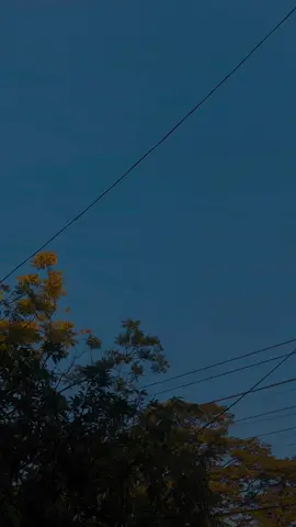 අවසානෙදි.. කවමදාවත් අයිති නොවන ලස්සනම හිනාවක් අස්සෙ මං මගේ ජීවිතේම හැංගුවා....!! 🤍 #foryoupage #sinhalaquotes #sad #foryou #Love #followme 