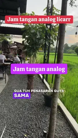 Jam tangan analog licarr#jamanalog #bangneo #jamtangananalog 