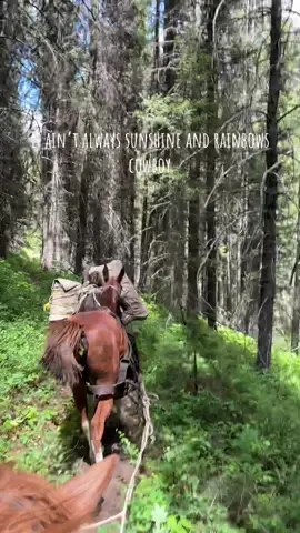 Good thing this was the worst of it, this time🤞🏼  #fyp #montana #mountains #guidelife #packer 