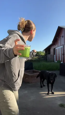 🍵 🐾 