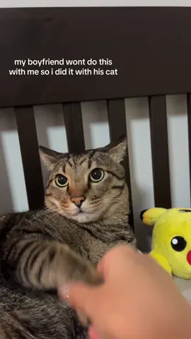 no kittyboys were harmed in the making of this video #fyp 