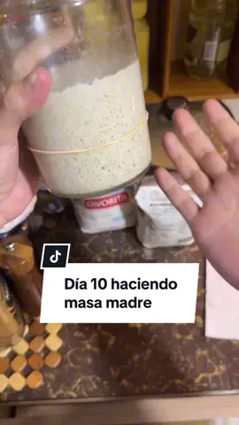 Día 10 haciendo masa madre, se viene el crossover más esperado por toda latinoamérica unida, está muy viva #pov #cocina #comida #masa #masamadre #pan #panaderia #fermento #serie #diario #pizza 