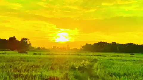 #perte 320 || #fyp #foryou #fypシ #foryoupage #viral #tiktokbangladesh #abdul.miya4k