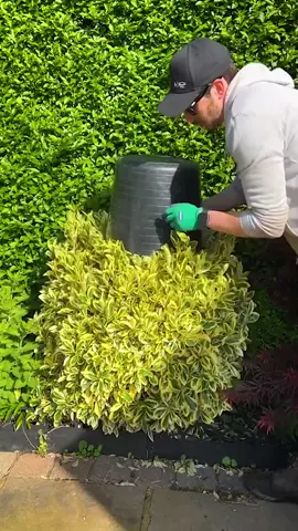 Landscaping Satisfying Videos 🌲🌳 #tree #treework #treehouse #oddlysatisfying #satisfyingvideo #satisfying #landscape #landscaping #garden #gardening 