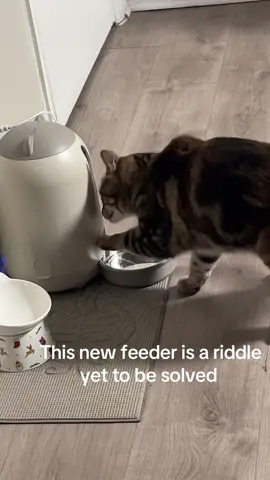 #kat