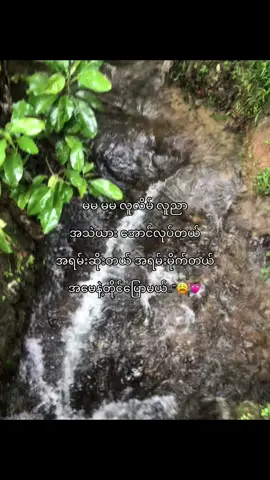 အမေနဲ့တိုင်ပြောမယ်😭💞#foryou #fyp #foryoupage #viralvideo #myanmartiktok🇲🇲🇲🇲 #views #tiktok #tiktoktrend #myanmar #ရောက်ချင်တဲ့နေရာရောက်👌 #fypပေါ်ရောက်စမ်းကွာ #ယူသုံးရင်crdပေးပါ🥺 #mawlamyine #fyppppppppppppppppppppppppppppppppppppppppppppppppppppppppppppppppppppp #fyppppppppppppppppppppppppppppppppppppppppppppppppppppppppppppppppppp #fyppppppppppppppppppppppppppppppppppppppppppppppppppppppppppppppppppp #fyppppppppppppppppppppppppppppppppppppppppppppppppppppppppppppppppppp 