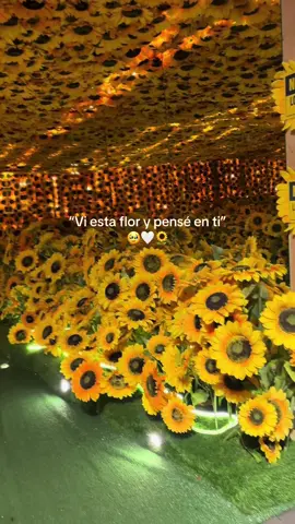Vi esta flor y pensé en ti 🌻 #girasoles #vangogh #vangoghexhibition 