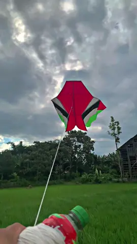 Layangan Cotek lawas palestina #hobilayangan #mainlayangan #layangan #layanganviral #trending #fyp 