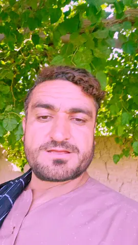 #creatorsearchinsights #dostmohammadnikzad #virall #viralvideo #🇦🇫🇦🇫🇦🇫🇦🇫🇦🇫🇦🇫🇦🇫🇦🇫🇦🇫🇦🇫💪💪 #پښتون_تاجک_ازبک_هزاره_پشیه_ترکمن #tik_tok #foryourpage 