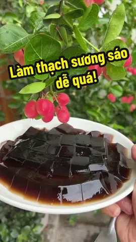 Muốn ăn thạch sương sáo giờ dễ quá các bác ạ! #dungbacon  #thachsuongsao  #thachdensuongsao  #thachsuongsaophasankota  #vaobepcungdung  