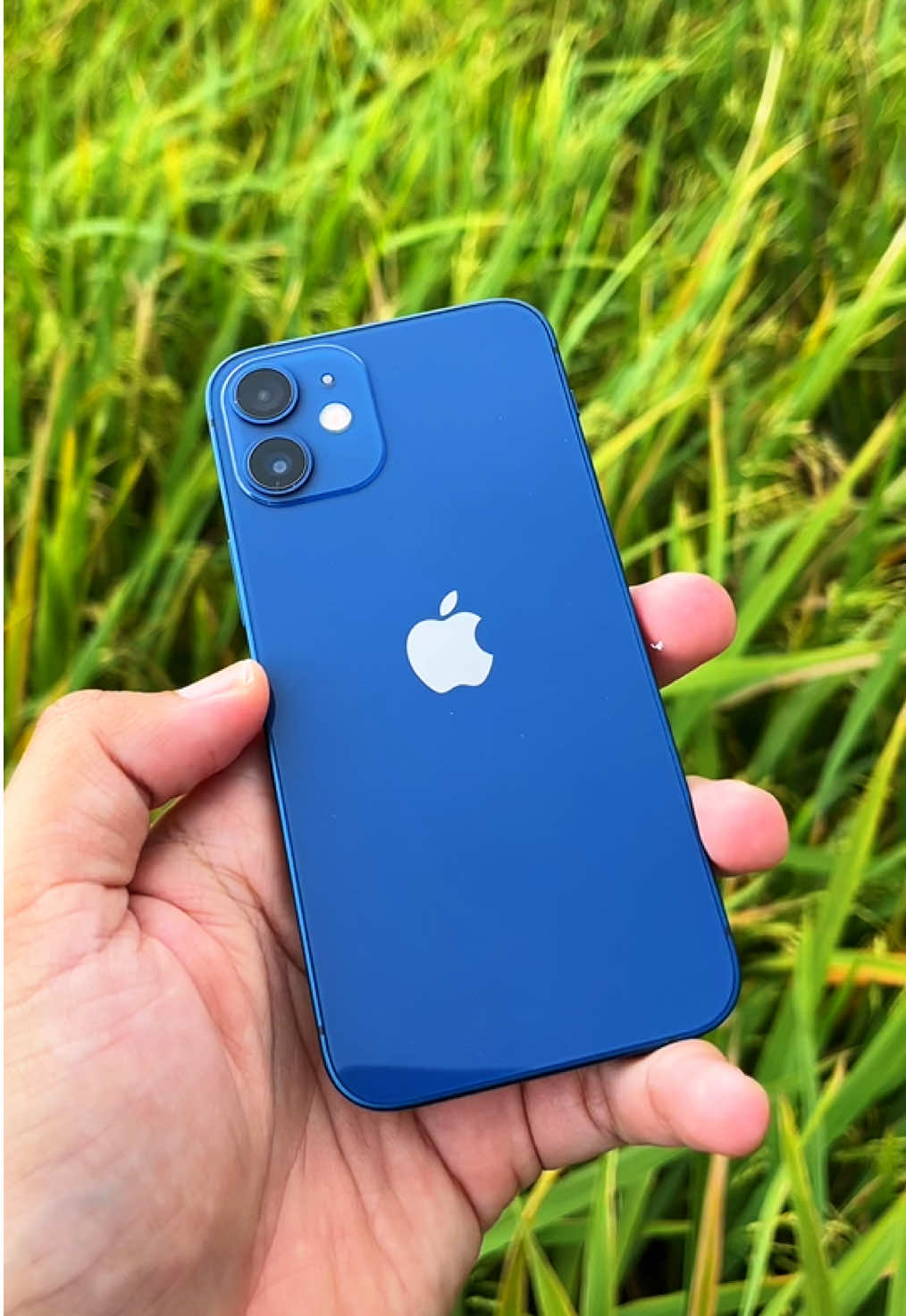 3 jutaan udah dpt ip kece 💙 #fyp #apple #iphone12mini #cinematic #iphone #tipsandtricks #iphonemurah 