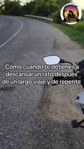 😅🫢 #video #viralllllll #pov #gato #gatostiktok #carretera #foryoupage #fyp #tik_tok 