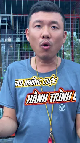 Sau những cuộc hành trình dài các chiến binh cần #thuanbocau #bocaudua #canhchimhoabinh 