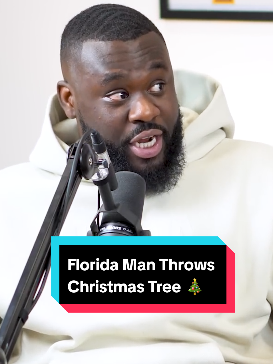 Florida Man Throws Christmas Tree #shxtngigs #shxtngigspodcast #shxtngigsclips #shxtngigsreacts #jamesfuhadpodcast #podcasts 