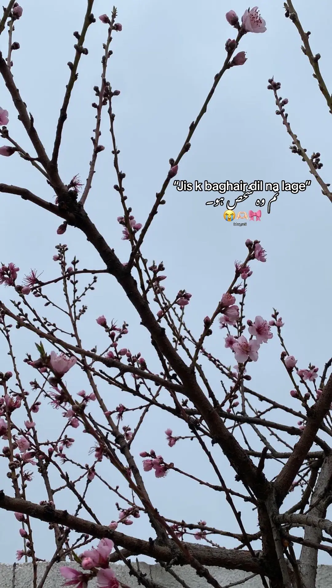 Tag.😭🫶🏻🫀#foryou #foryoupage #for #you #viral #unfrezzmyaccount 