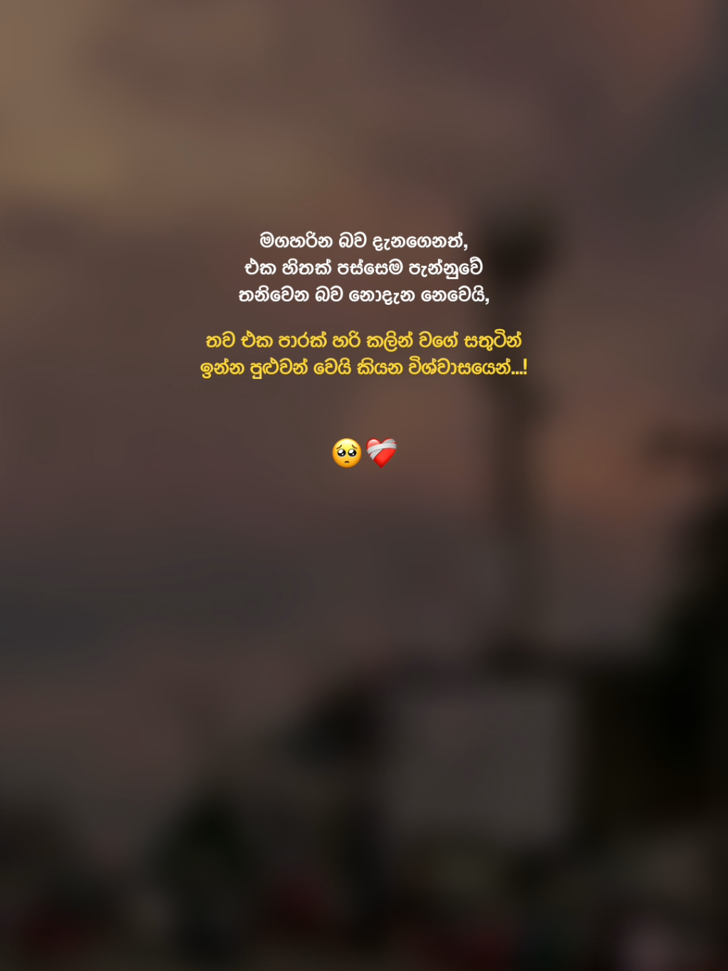 ☺️❤️‍🩹! #fyp #foryou #creatorsearchinsights #pahnzz_official #pahnzz #creatorsearch #wadanlk #wadanbypahan #wadanlk #bootquotes #bootwadan #bootstatus #pahan #newsong #viral #nextlevel #drop #srilankan_tik_tok🇱🇰 @Elon ☁️ @The Vibe @Kavishka Chathuranga