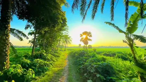 Sesh Kanna with ME |Use headphones for better sound quality I kmon hoiyace Video tahh? #sinamtic #cinematic #cinematic_video #vairal_video #fyp #song #sesh_kanna #foryou #sesh_kanna#cinematic 