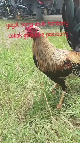 # 