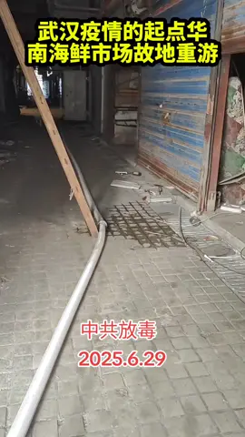 武汉疫情的起点华南海鲜市场