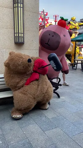 #duckfunny😂 #funnyvideos #ducksoftiktok 