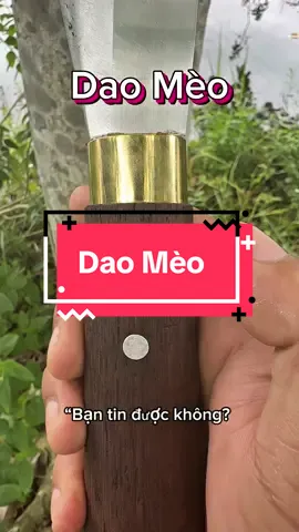 Dao Mèo Truyền Thống #diephatay94 #daomeo 