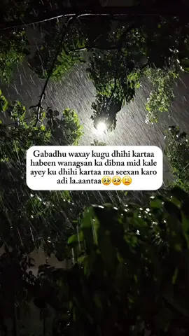 #foryour #foryourepage #fypシ゚ #fypppppppppppppppppppppppppppppppppppppppppppppppppppppppppppppppppppp #fypシ゚viral🖤tiktok #fpy_tiktok #soomaali_tiktok #viewsxumo💔 #video 