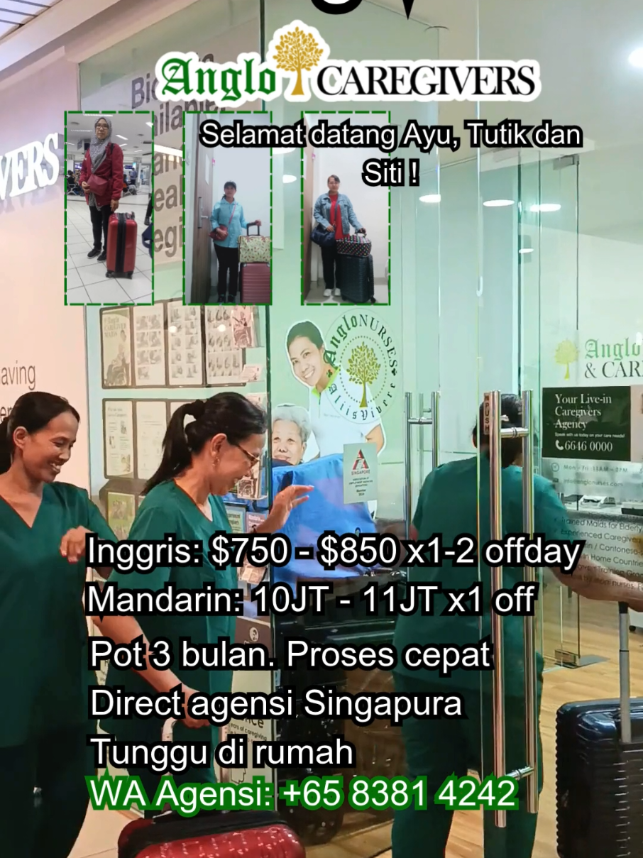Calling Visa ke Singapura dari Indonesia 2025. Mahu bekerja di Singapura? Ayolah begabung dengan Anglo Caregivers! Kerjanya sebagai perawat jaga orang tua! Boleh hunbungi kami di nomor tentera yaa! Job jaga lansia di rumah majikan. Bergabung dengan Anglo Caregivers hari ini! #anglocaregivers #fypsingapura #callingvisasingapore #callingvisa #directagency #directagencysingapore #tkwsingapura🇮🇩🇸🇬 #tkwsingapura🇮🇩🇸🇬🙏🙏 #tkwsingapura #tkwindonesia_taiwan #tkwindonesiasingapore🇮🇩🇸🇬💪💪 #kerja #kerjasingapore #tkwtaiwan #tkiindonesia #tkisingapura #tkisingapura🇮🇩🇸🇬 #tkitaiwan #cityplaza #cityplazasg #lowongankerja #kerja #job #lowongankerja2025 #tkisingapore #tkwsingapore  #infojobluarnegeri #loker2025