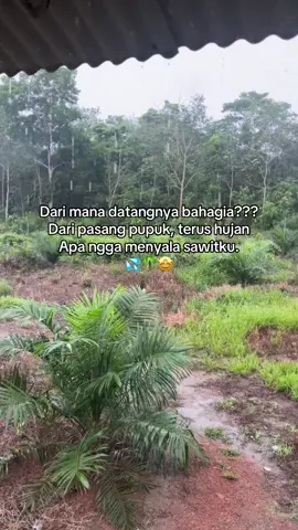 Semoga berkah #tetapsemangat💪💪 #sawit #sawitindonesia #pupuksawitterbaik #bosmuda😎😎😎 #petanimuda #bismillahfyp 