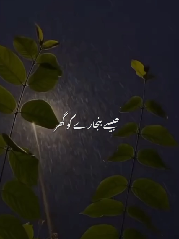 Kisi shayar ki ghazal 👀🌺  #fypシ゚ #lyrics #Zunilyrics47 