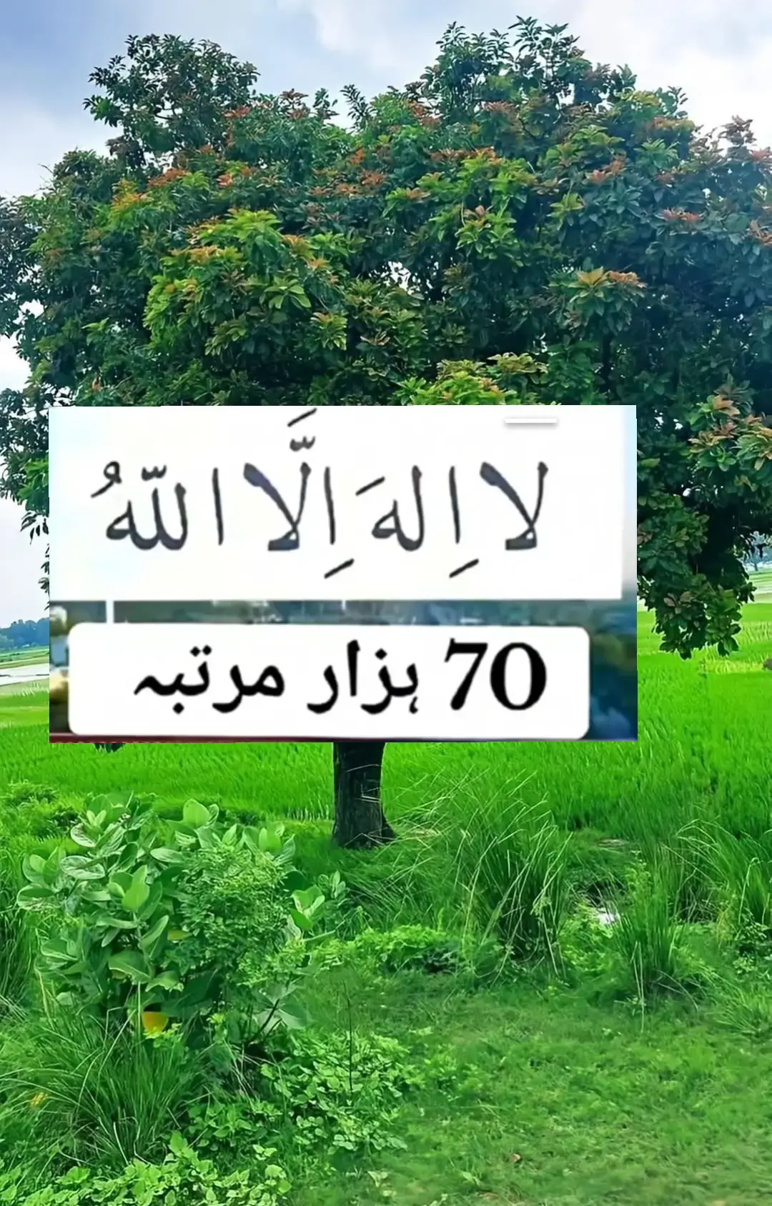 😭😭😭 Allah 😭😭😭 Allah 😭😭😭 Allah 😭😭😭 Allah 😭😭😭 Allah 😭😭😭 Allah 😭😭😭 Allah 😭😭😭 Allah 😭😭😭 Allah 😭😭😭