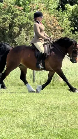 Haddington show with fleur!! Where she picked up another ticket to the finals at scone palace 🥳 shout out to the best videographer 😘 #equestrian #equine #tiktok #horse #fyp #welshcob #foryoupage 