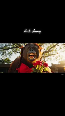 Anh chung trung của các anh chị em nè vào nhận hàng đi chứ #monkey #Veo3 #xuhuong #hottrend 