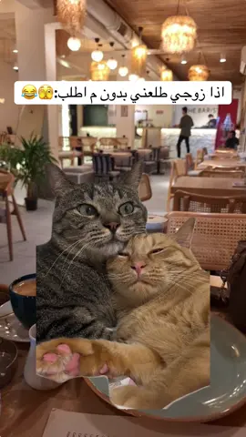 #Meme #MemeCut #تصميم_فيديوهات🎶🎤🎬 #fyp #tik_tok #explore 