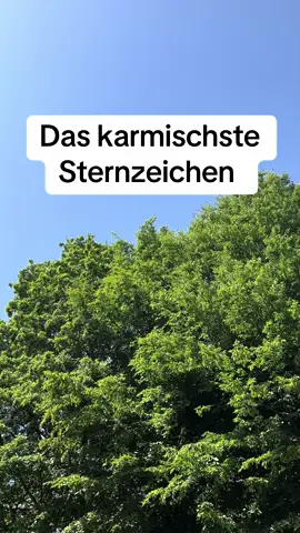 Das karmischste Sternzeichen #horoskop #sternzeichen #zodiak 
