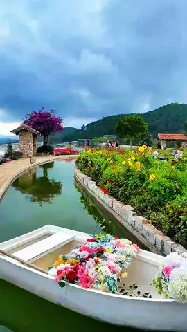 @Ngọc Anh #dalat #nhachaymoingay #canhdepthiennhien 