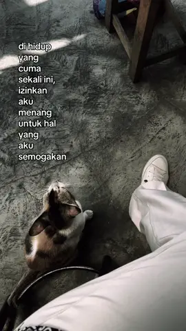 #0mdpl #3726mdpl #au3726mdpl #wyna #aboutyou #the1975 #fyp #fypシ゚ #foryoupage #foryou #fyppppppppppppppppppppppp #fypdongggggggggシ #fypage #thend 