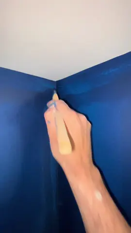 Cutting in sapphire salute #housepainting #homedecor #diyhome #painting #cut #fyp 