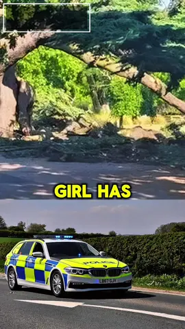 Girl, 7, killed and another fights for life after tree ‘splits and crashes down’ in park ‘heaving with families’ #tragedy #news #tree #death 