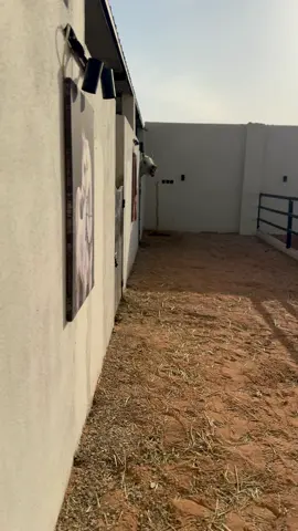 #خيل_وخياله🐎 #viral 